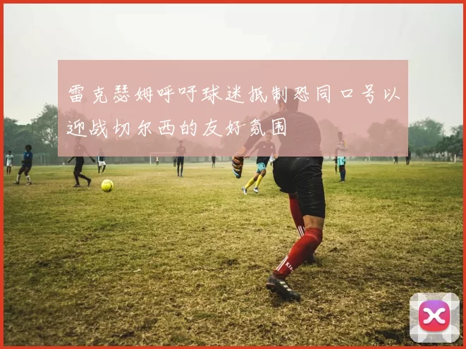 雷克瑟姆呼吁球迷抵制恐同口号以迎战切尔西的友好氛围